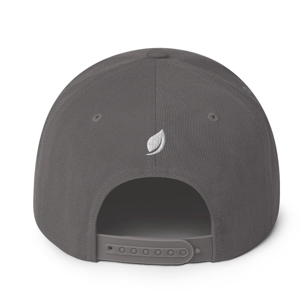 Leaf Aficio Retro Embroidered Snapback Hat