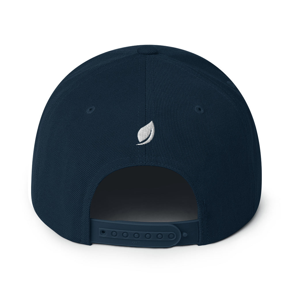 Leaf Aficio Retro Embroidered Snapback Hat